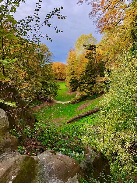 File:Le ravin du bois de la Cambre.jpg