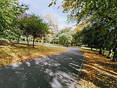 Leazes Park.jpg 