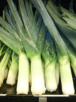 Leek: Vegetable in the onion family