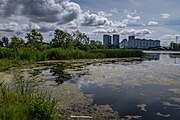 English: Republican biological reserve Liebiadziny. Minsk, Belarus Беларуская: Рэспубліканскі біялагічны заказнік Лебядзіны. Мінск, Беларусь Русский: Республиканский биологический заказник Лебяжий. Минск, Беларусь