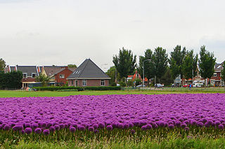 Limmen,  North Holland, Netherlands