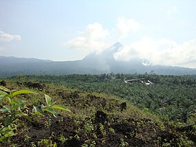 Little Mount Cameroon (Etinde).jpg