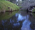 Little Para River at Carrisbrooke reserve