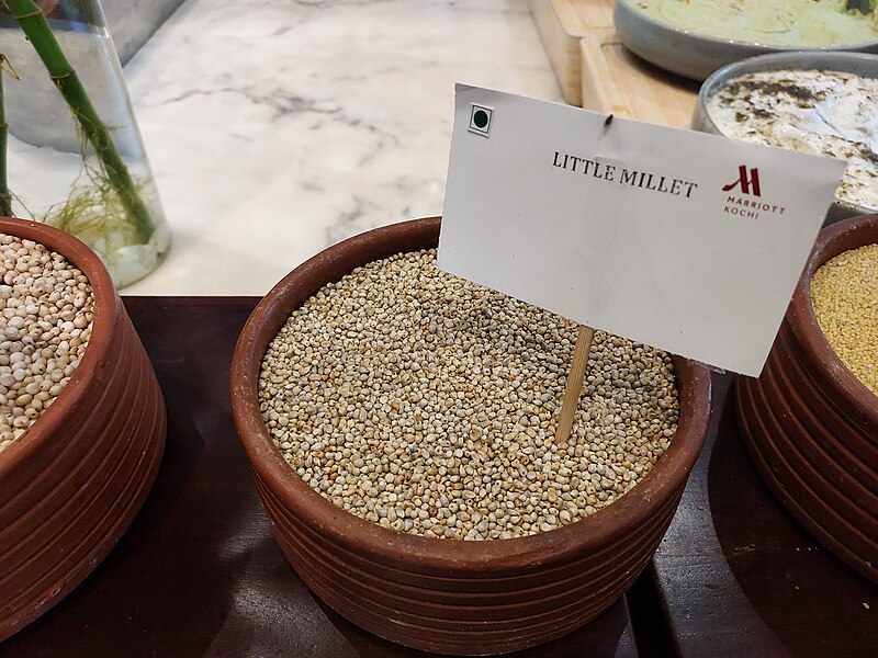 File:Little millet.jpg