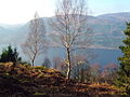 Loch Ness from Forest Viewpoint - geograph.org.uk - 912721.jpg