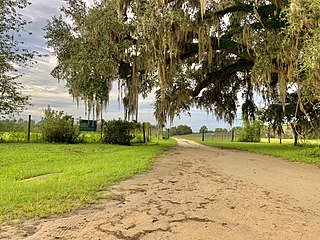 <span class="mw-page-title-main">Lubee Bat Conservancy</span> Non-profit organization in Florida, U.S.