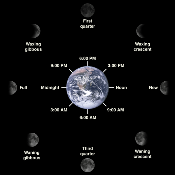 File:Lunar phase diagram.png