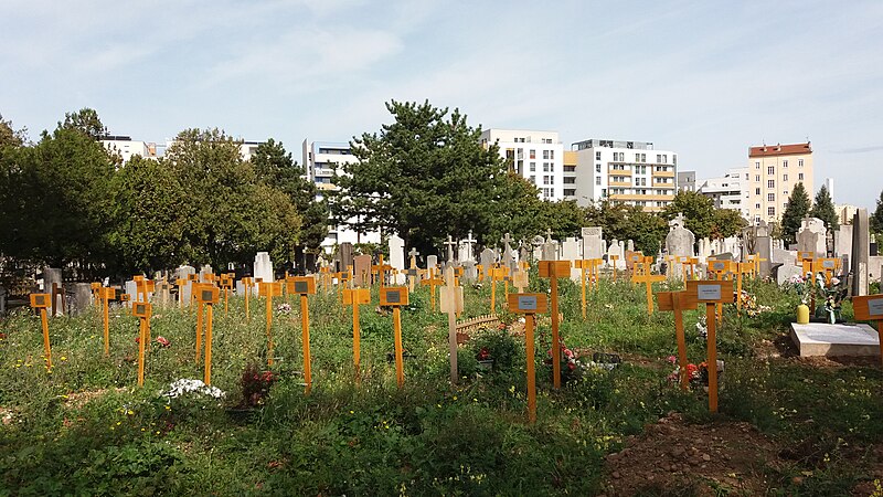 File:Lyon 8e - Nouveau cimetière de La Guillotière - Tombes avec croix de bois.jpeg