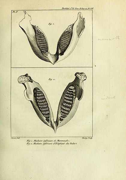 File:Mémoires de l'Institut des Sciences et Arts BHL16303031.jpg