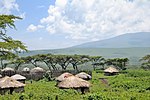 Maasai boma in Ngorongoro Conservation Area.jpg
