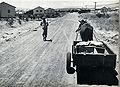 כבישים פנימיים בחבל תענך - 1955