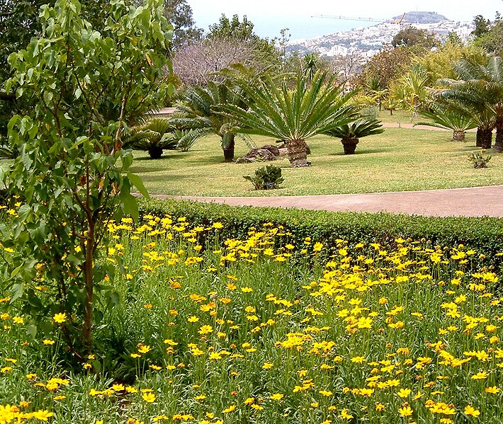 File:Madeira oberhalb funchal botanischer garten 5-07.JPG