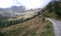 Malga Preghena in Val di Bresimo (TN) - panoramio.jpg