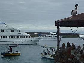 Many Boats in Puerto Ayora on the Island of Santa Cruz Galapagos