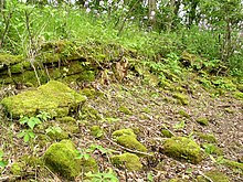 The scant foundation ruins of a mill complex building MarineMill.jpg
