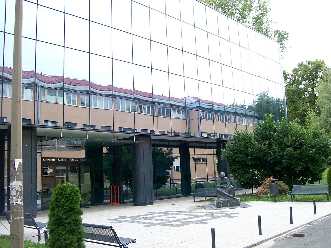 School of Medicine, University of Zagreb