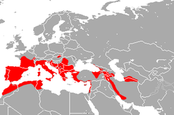 Mediterranean Horseshoe Bat area.png