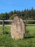 Vignette pour Menhir de Rifferswil