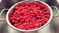 More raspberries (50111914646).jpg
