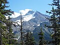 The Jefferson Park Glacier as seen from the Whitewater Trail