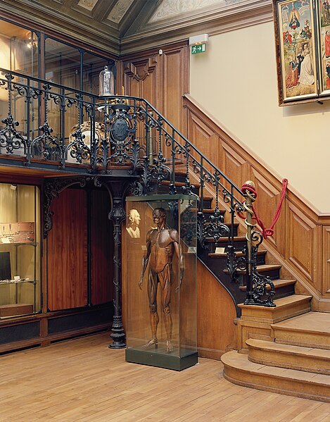 File:Musée d'histoire de la médecine (Paris) 01.jpg