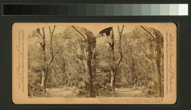 File:Myrtle Avenue, Fort George Island (NYPL b11707399-G90F123 009F).tiff