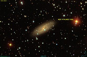 Immagine illustrativa dell'articolo NGC 1174