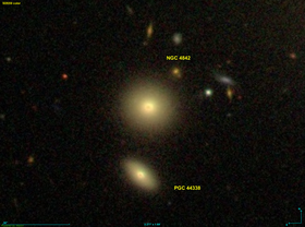 Illustratieve afbeelding van artikel NGC 4842