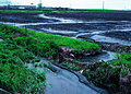 Topsoil runoff from farm, central Iowa, USA (2011)