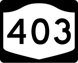 <span class="mw-page-title-main">New York State Route 403</span> State highway in Putnam County, New York, US