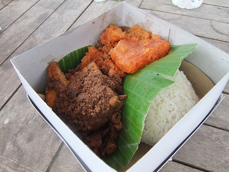 File:Nasi kotak gudeg Wijilan.JPG