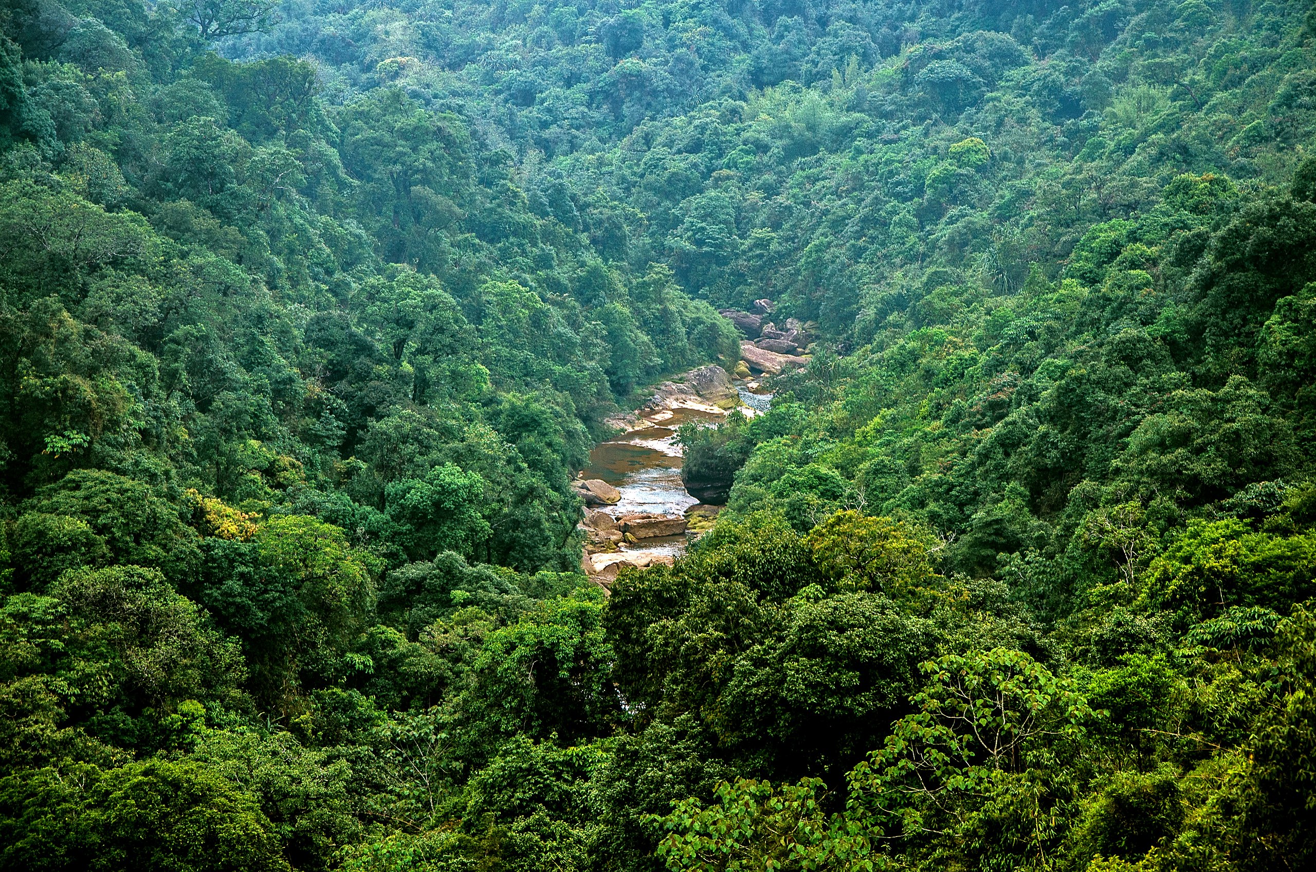 A water fall in the hills of Cherrapunji, Meghalaya, India Stock Photo -  Alamy