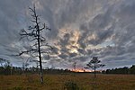 Thumbnail for List of wetlands of Estonia