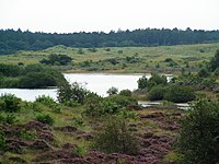 Wald- und Heidegebiet