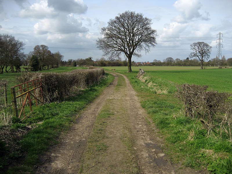 File:On Carrbank Lane - geograph.org.uk - 1802022.jpg