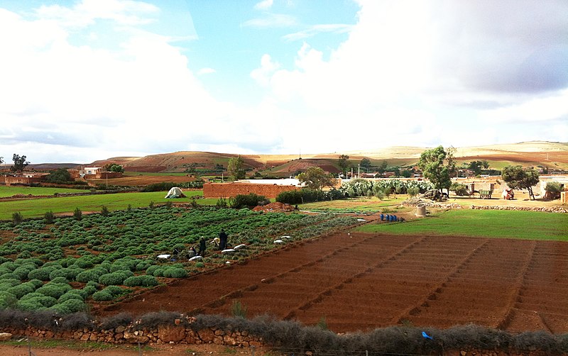 File:On the A7 highway near Sidi Mohamed, Morocco - panoramio.jpg