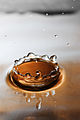 * Nomination Coronet as the result of a water drop and surface tension --Matthew Proctor 12:24, 13 May 2010 (UTC) * Promotion Sharp and good colours --Croucrou 16:10, 14 May 2010 (UTC)