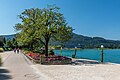 * Nomination “Flower beach“ on Johannes-Brahms-Promenade, Pörtschach, Carinthia, Austria -- Johann Jaritz 02:32, 28 July 2022 (UTC) * Promotion  Support Good quality. --Terragio67 03:26, 28 July 2022 (UTC)