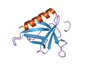 PDB 1ddv EBI.jpg