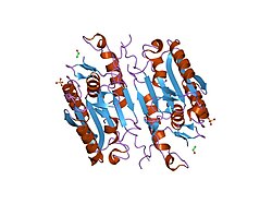 PDB 1f1j EBI.jpg