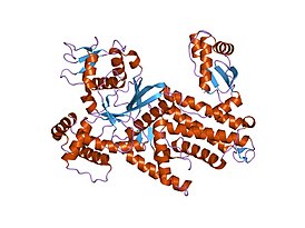 arginil-tRNA sintetasa de Thermus thermophilus