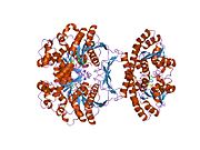 1p4r: Kristalna struktura ljudskog ATIC u kompleksu sa folat-baziranim inhibitorom BW1540U88UD