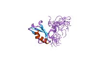 PDB 1wi6 EBI.jpg