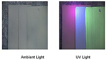 Panels with OAA under ambient and UV light Panels with OAA under Ambient and UV light.JPG