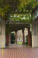 Pérgola del Parque de Doña Casilda