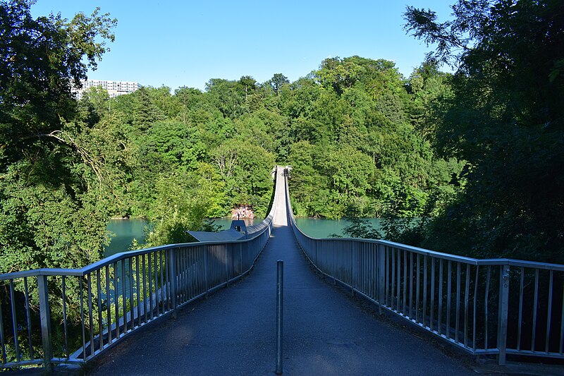 File:Passerelle du Lignon.jpg