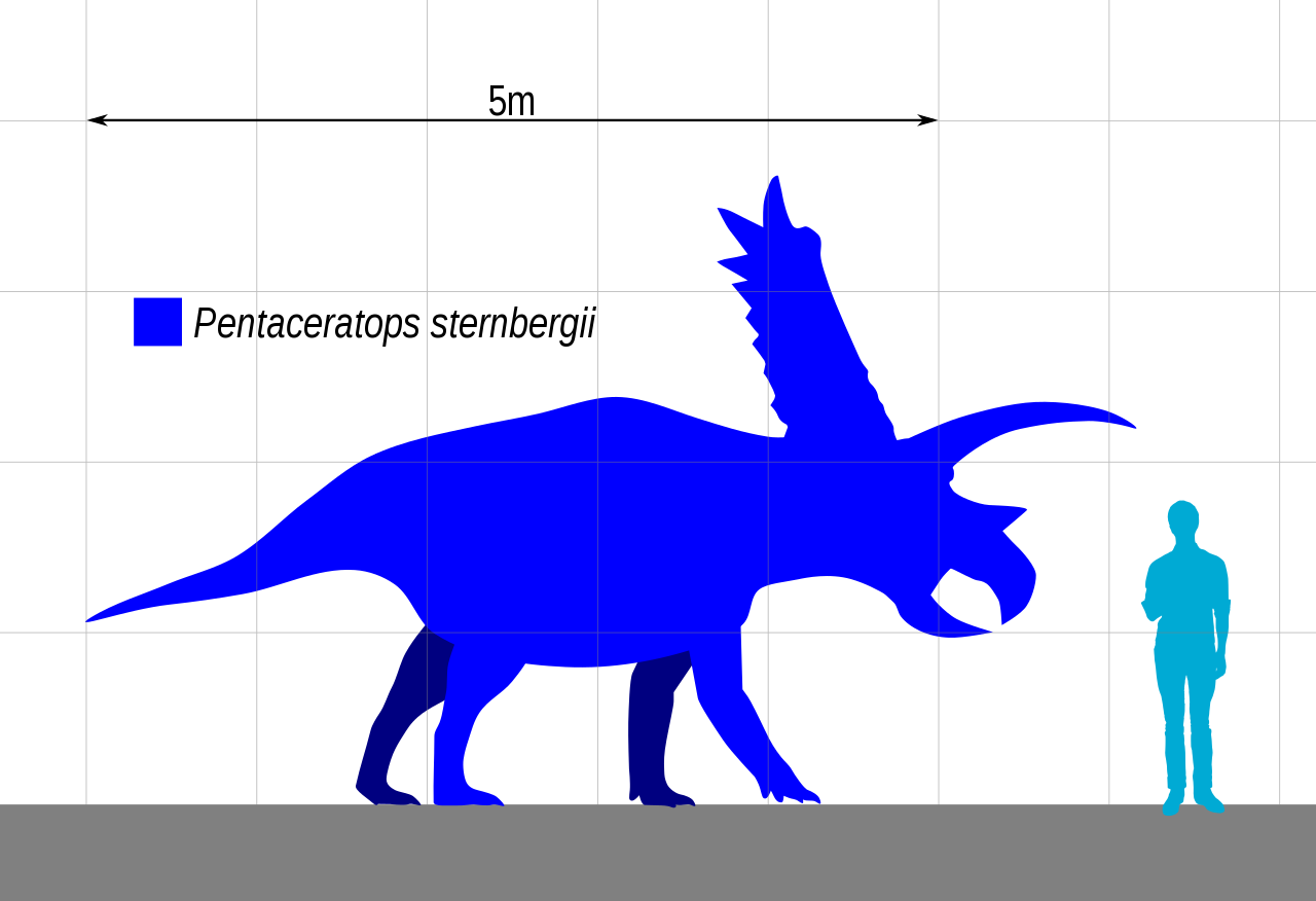 Download File:Pentaceratops Size.svg - Wikipedia
