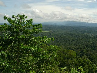 <span class="mw-page-title-main">Peradayan Forest Reserve</span>