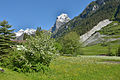 * Nomination The Tribulaun peak (Elevation 3,097 m) from SW in spring in Pflersch in South Tyrol --Moroder 20:03, 6 June 2014 (UTC) * Promotion Good quality. --P e z i 21:21, 6 June 2014 (UTC)