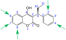 Metabolism of S(-)-phenprocoumon: known positions of hydroxylation by liver enzymes Phenprocoumon hydroxylation.svg